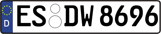 ES-DW8696