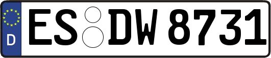 ES-DW8731