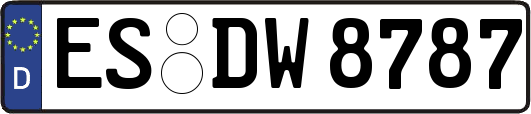 ES-DW8787