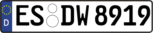 ES-DW8919