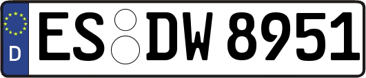 ES-DW8951