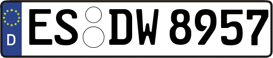 ES-DW8957