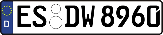 ES-DW8960