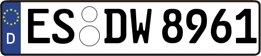 ES-DW8961
