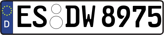 ES-DW8975