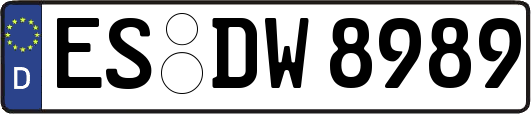 ES-DW8989
