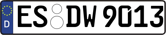 ES-DW9013