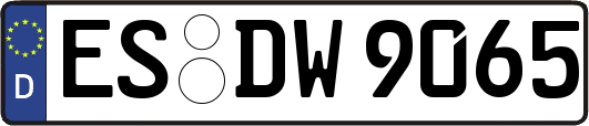 ES-DW9065