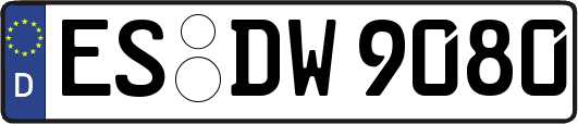 ES-DW9080