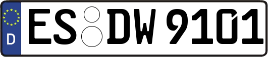 ES-DW9101