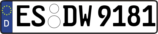 ES-DW9181