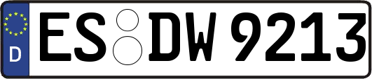 ES-DW9213