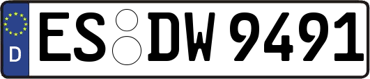 ES-DW9491