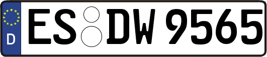 ES-DW9565