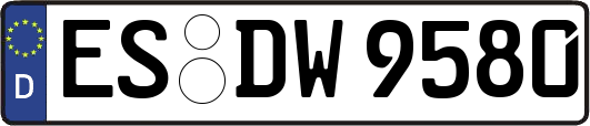 ES-DW9580