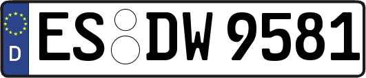 ES-DW9581