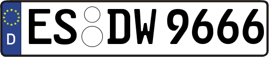 ES-DW9666