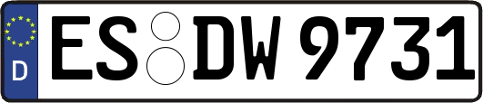 ES-DW9731