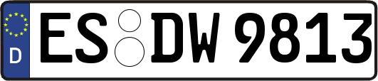 ES-DW9813