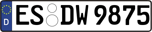 ES-DW9875