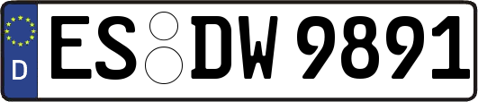 ES-DW9891