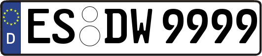 ES-DW9999