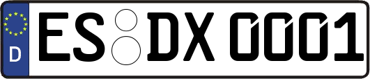 ES-DX0001