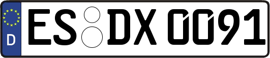 ES-DX0091