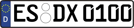 ES-DX0100