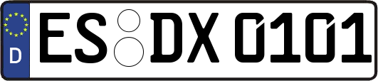ES-DX0101