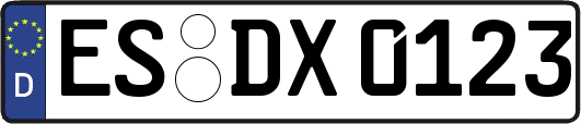 ES-DX0123