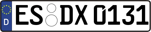 ES-DX0131
