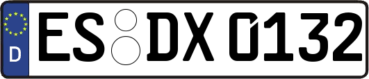 ES-DX0132