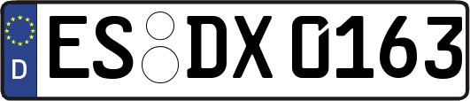 ES-DX0163