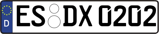 ES-DX0202
