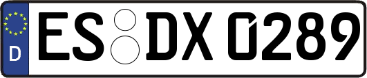 ES-DX0289