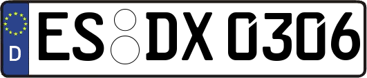 ES-DX0306