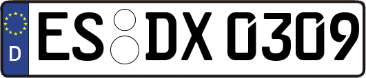 ES-DX0309