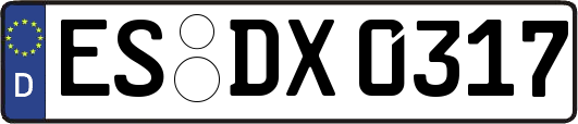 ES-DX0317