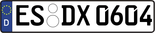 ES-DX0604