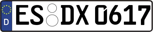 ES-DX0617