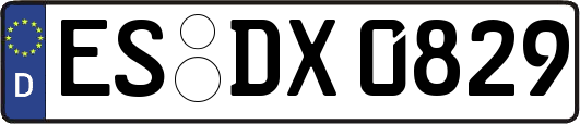 ES-DX0829