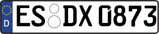 ES-DX0873