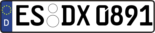 ES-DX0891