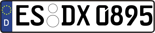 ES-DX0895
