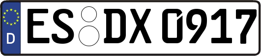 ES-DX0917