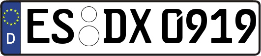 ES-DX0919