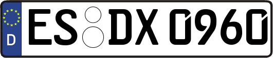 ES-DX0960