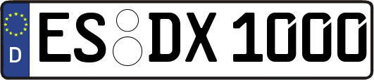 ES-DX1000