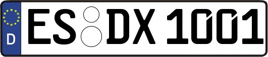 ES-DX1001